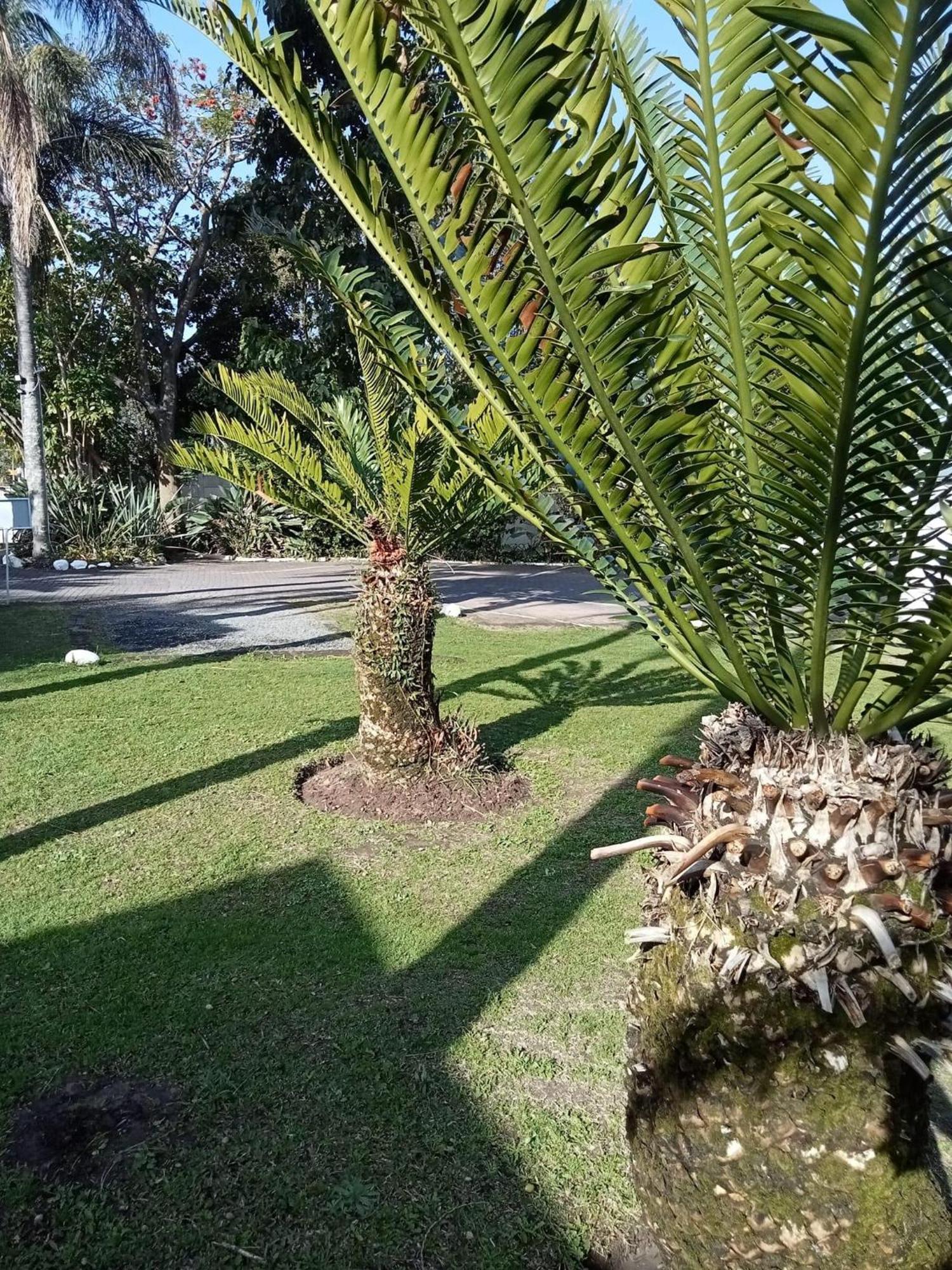 Fish Eagle Manor Bed & Breakfast East London Bagian luar foto