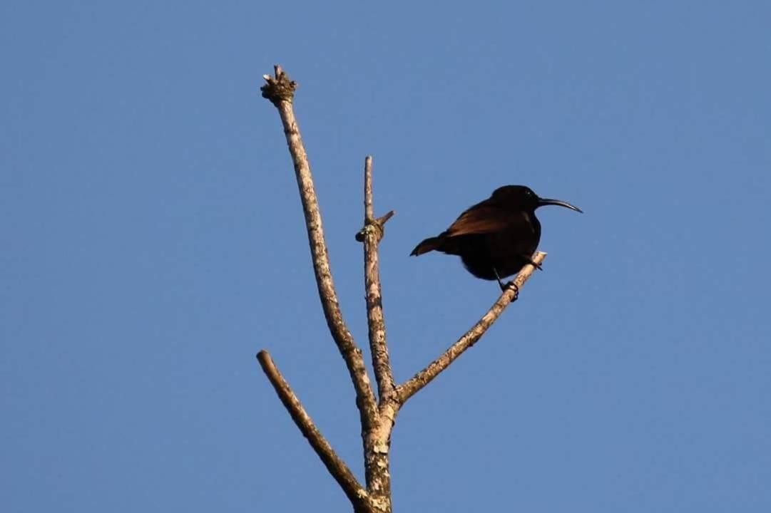Fish Eagle Manor Bed & Breakfast East London Bagian luar foto